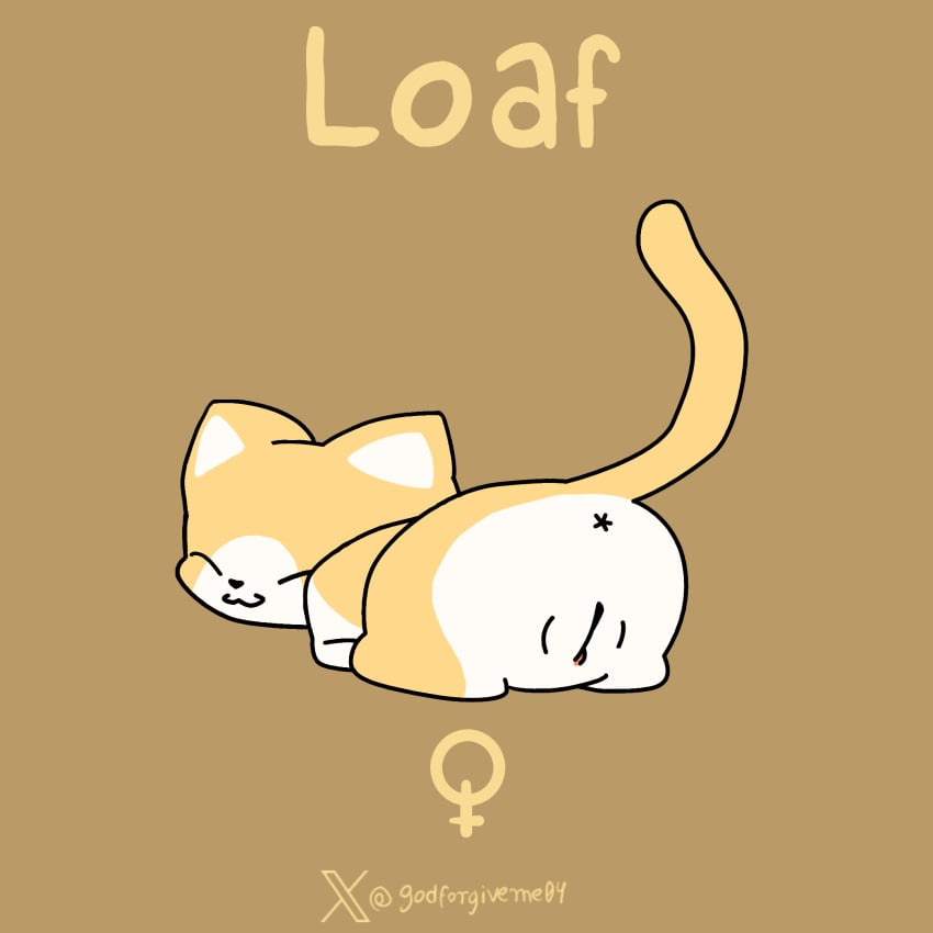 ass closed_eyes domestic_cat felid feline felis female feral fur genitals godforgiveme4 hi_res loaf_(ho_salt) mammal presenting presenting_hindquarters presenting_pussy pussy raised_tail solo tail watermark white_body white_fur yellow_body yellow_fur