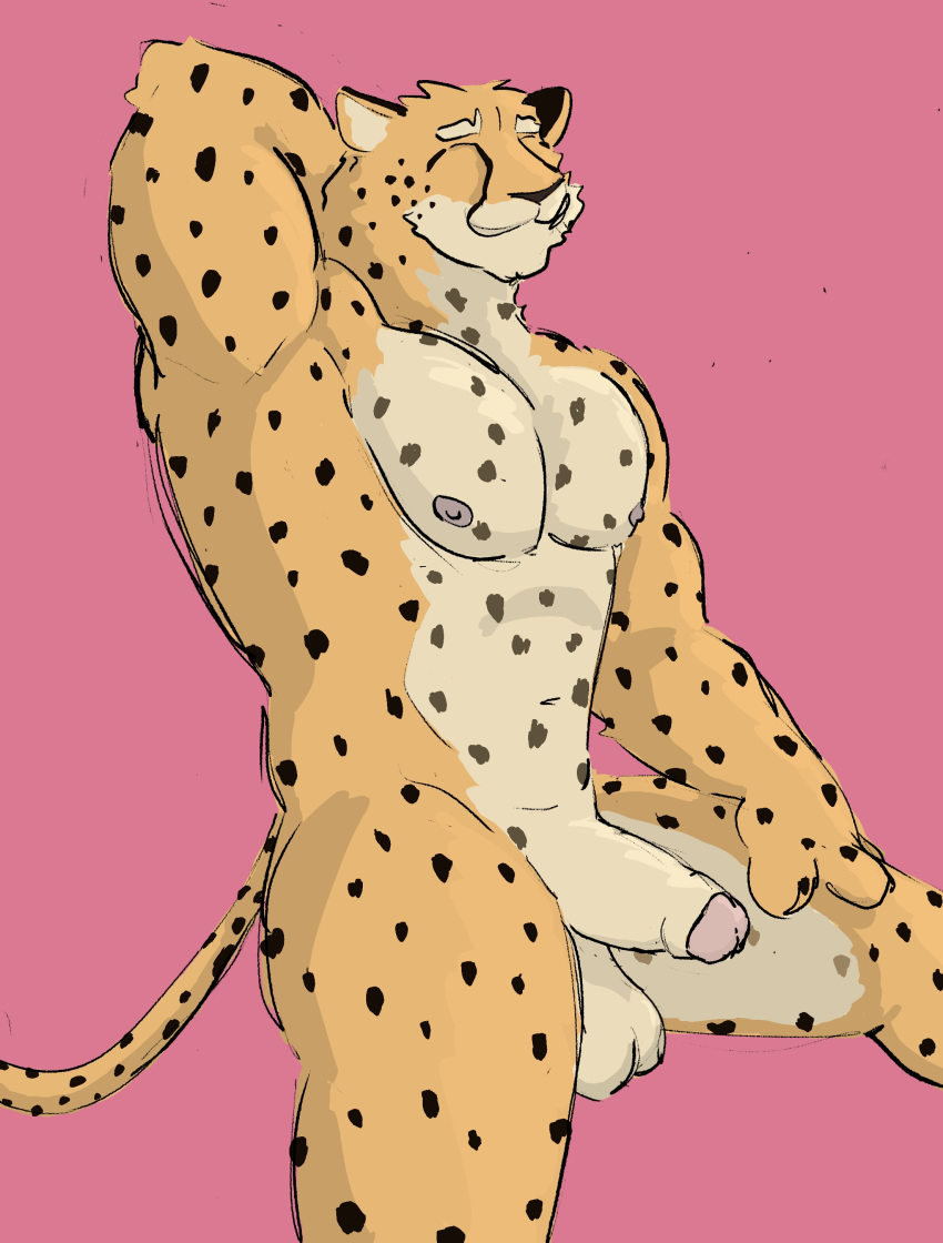 absurd_res anthro balls cheetah dickinoatmeal felid feline foreskin genitals hi_res male mammal muscular muscular_male nipples penis pits solo