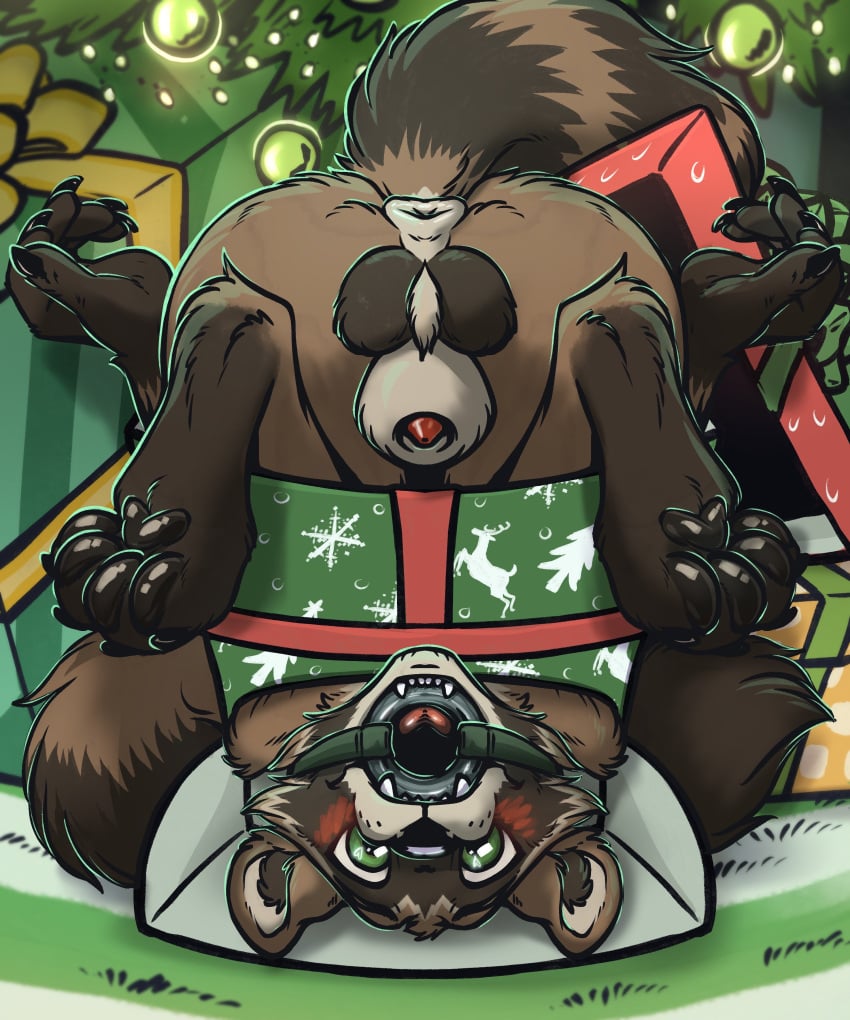 absurd_res animal_genitalia anthro anus ass ball_tuft balls black_balls blush christmas emptyinside feet fur gag gagged genitals gift_wrapped green_eyes hi_res holidays looking_at_viewer male mammal nude pawpads paws penis procyonid raccoon restrained richter_raccoon ring_gag sheath solo tail tongue tuft upside-down