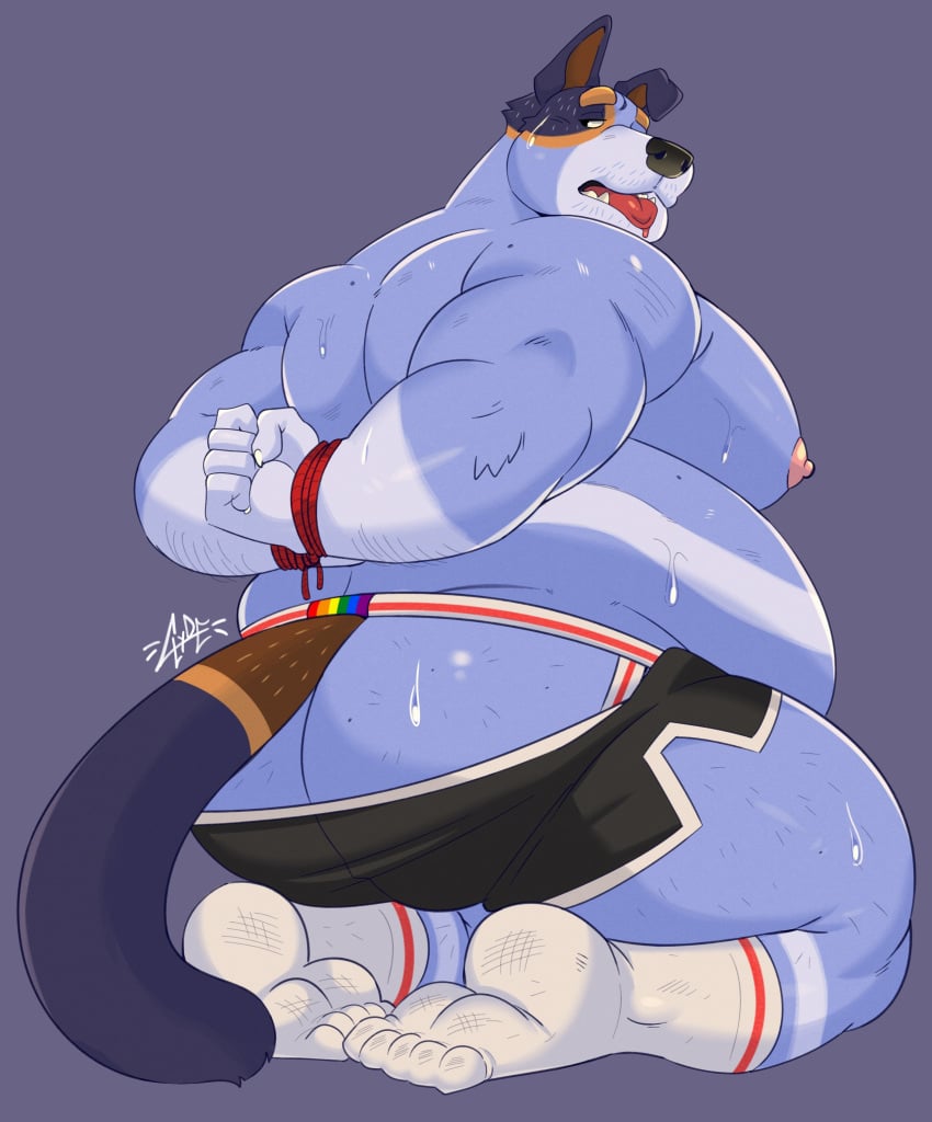 Stripe Heeler (Bluey (Series)) Rule 34 Image
