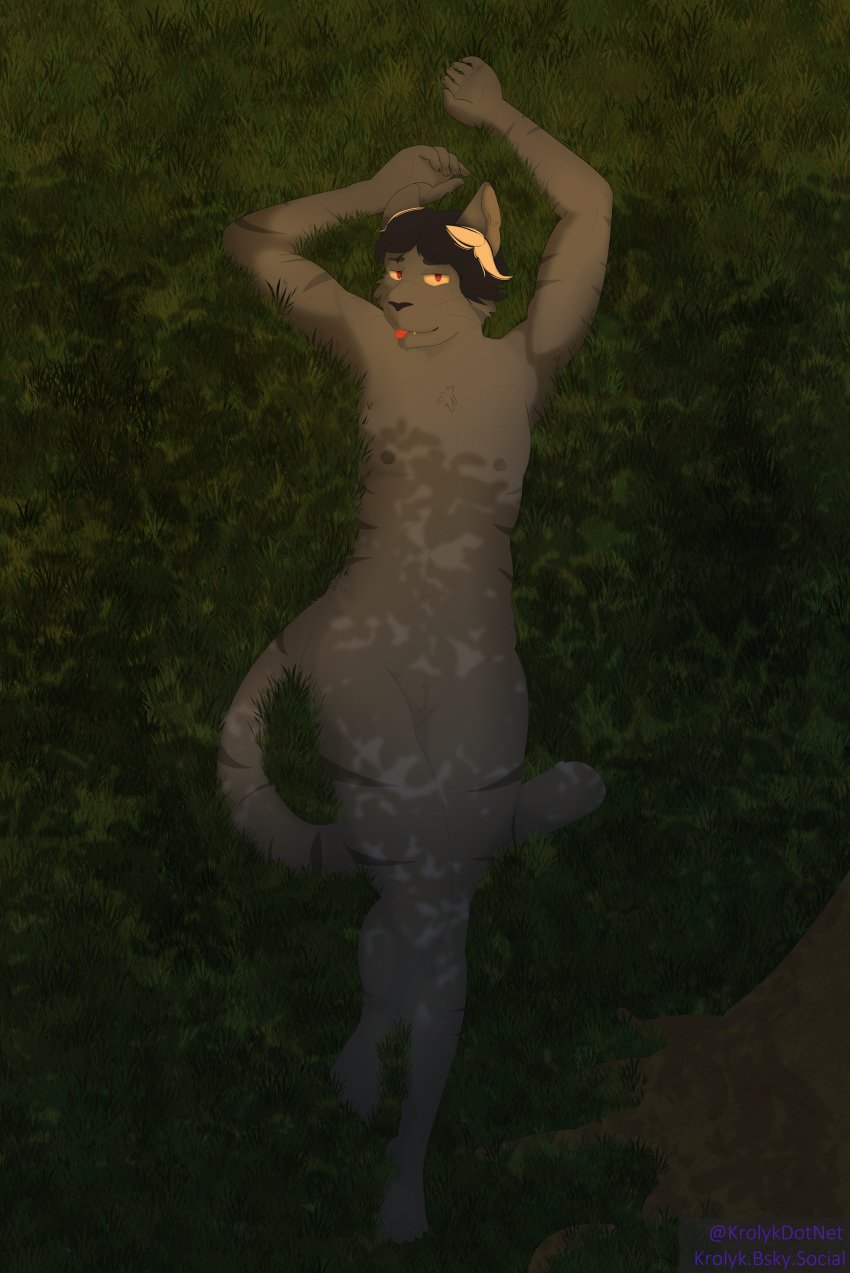 absurd_res andromorph anthro casual_nudity chest_tuft cuntboy domestic_cat felid feline felis gar_(character) hi_res intersex krolyk lounging lying male mammal nude on_back outside solo sunset tongue tongue_out tuft