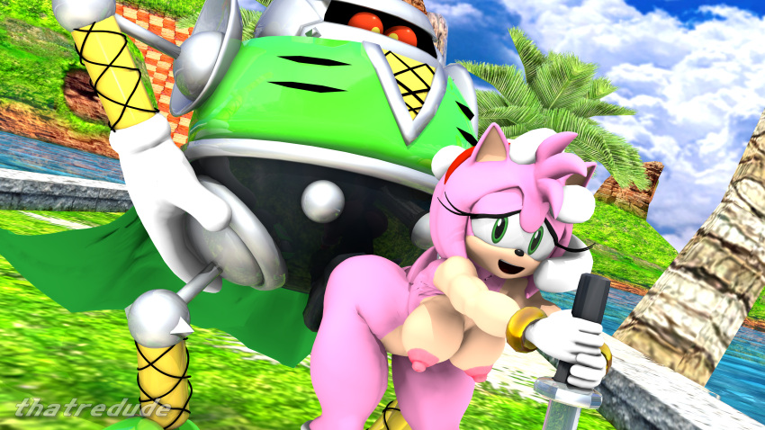 3d amy_rose anal_sex bent_over big_balls big_breasts big_butt big_penis cock_in_ass domination enjoyment heavy_shinobi holding_head holding_weapon male/female robot robot_on_mobian robot_penis seaside_hill sega sonic_(series) sonic_the_hedgehog_(series) thatredude