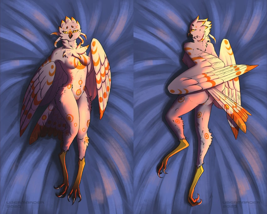 5:4 absurd_res anthro ass avian beak bedroom_eyes bird bird_feet breasts bubo_(genus) dakimakura_design feather_markings feathers female genitals hi_res huge_filesize markings narrowed_eyes non-mammal_breasts non-mammal_nipples orange_body orange_feathers owl pussy seductive slim snowy_owl solo tail_feathers talons trace_snow_owl_(character) true_owl ubermarder white_body white_feathers wings yellow_body yellow_eyes yellow_feathers