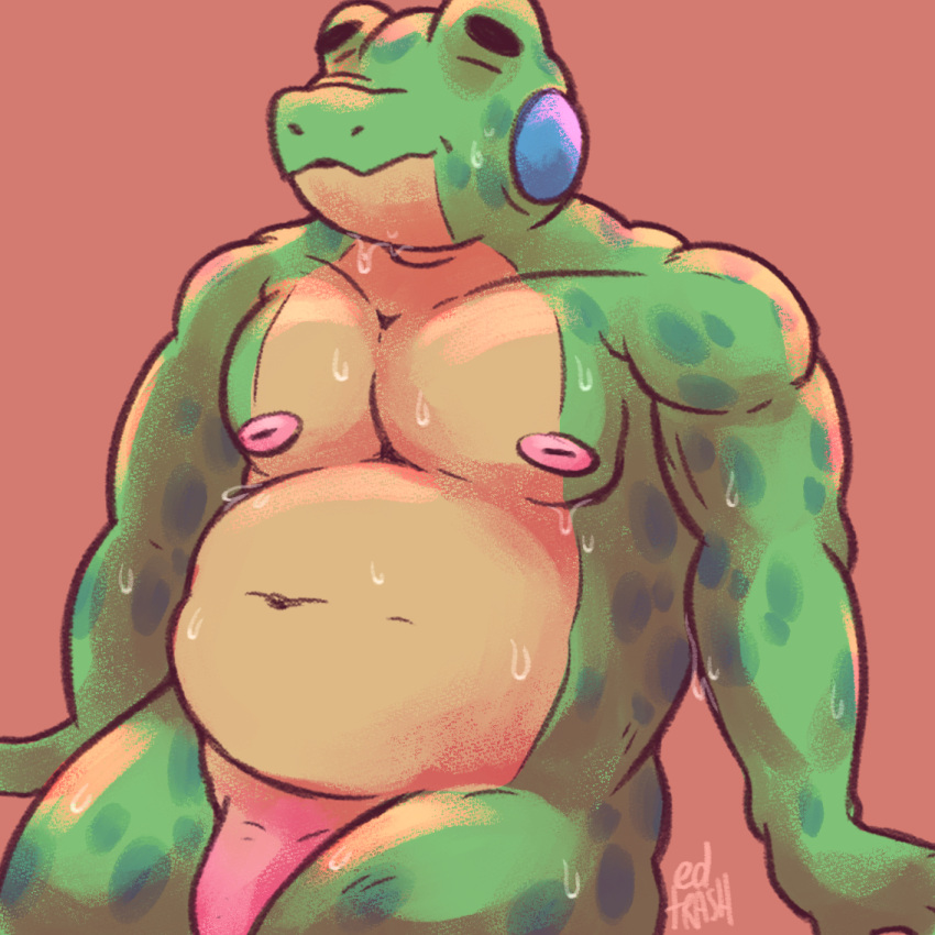 1:1 2021 amphibian anthro belly closed_eyes edtrash flaccid frog genitals green_body male moobs navel nipples overweight overweight_male penis sitting solo