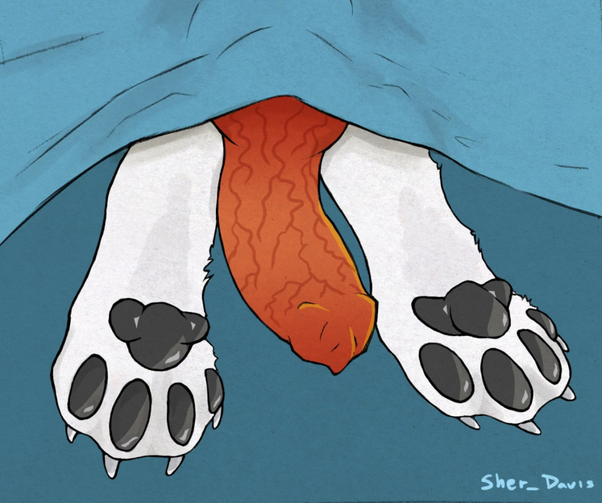 anatomically_correct anatomically_correct_genitalia animal_genitalia animal_penis arctic_fox bayard_zylos bedding black_pawpads blanket canid canine canine_penis claws erection_under_blanket feral fox fur genitals hiding knot male mammal pawpads paws penis red_penis sherlock_davis solo white_body white_fur