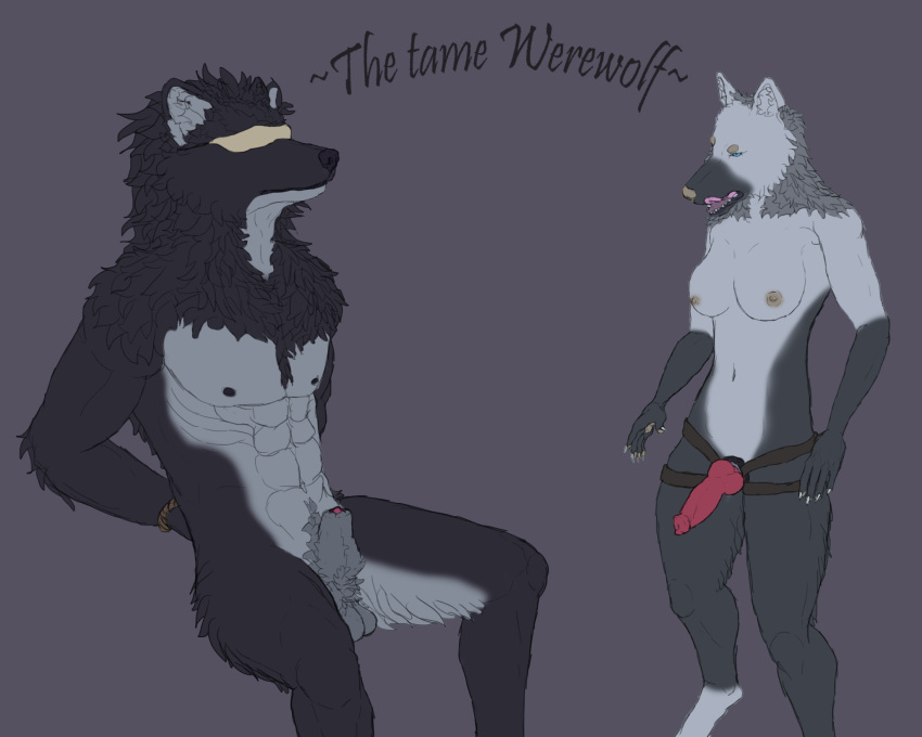 1boy 1girl 1girls anthro balls bondage breasts canid canine canis dildo dominant dominant_female duo female femdom genitals hi_res male male/female malesub mammal manly muscular nipples penis sex_toy size_difference small_dom_big_sub strap-on strapon svevato were werecanid werecanine werewolf wolf