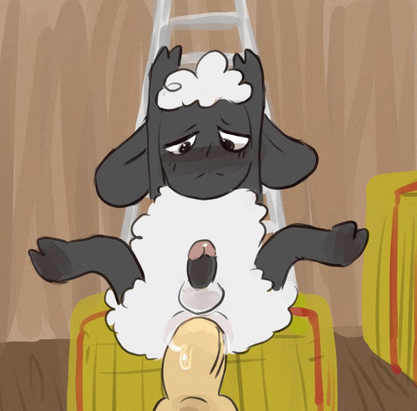 aardman_animations anal anal_sex animated anthro barn blush bodily_fluids bovid canid canine canis caprine cum cum_on_penis domestic_dog duo genital_fluids genitals gromit_(wallace_and_gromit) hay hay_bale hi_res legs_up male male/male mammal pawfunk penetration penis precum shaun_the_sheep shaun_the_sheep_(character) sheep short_playtime spread_legs spreading vein veiny_penis wallace_and_gromit