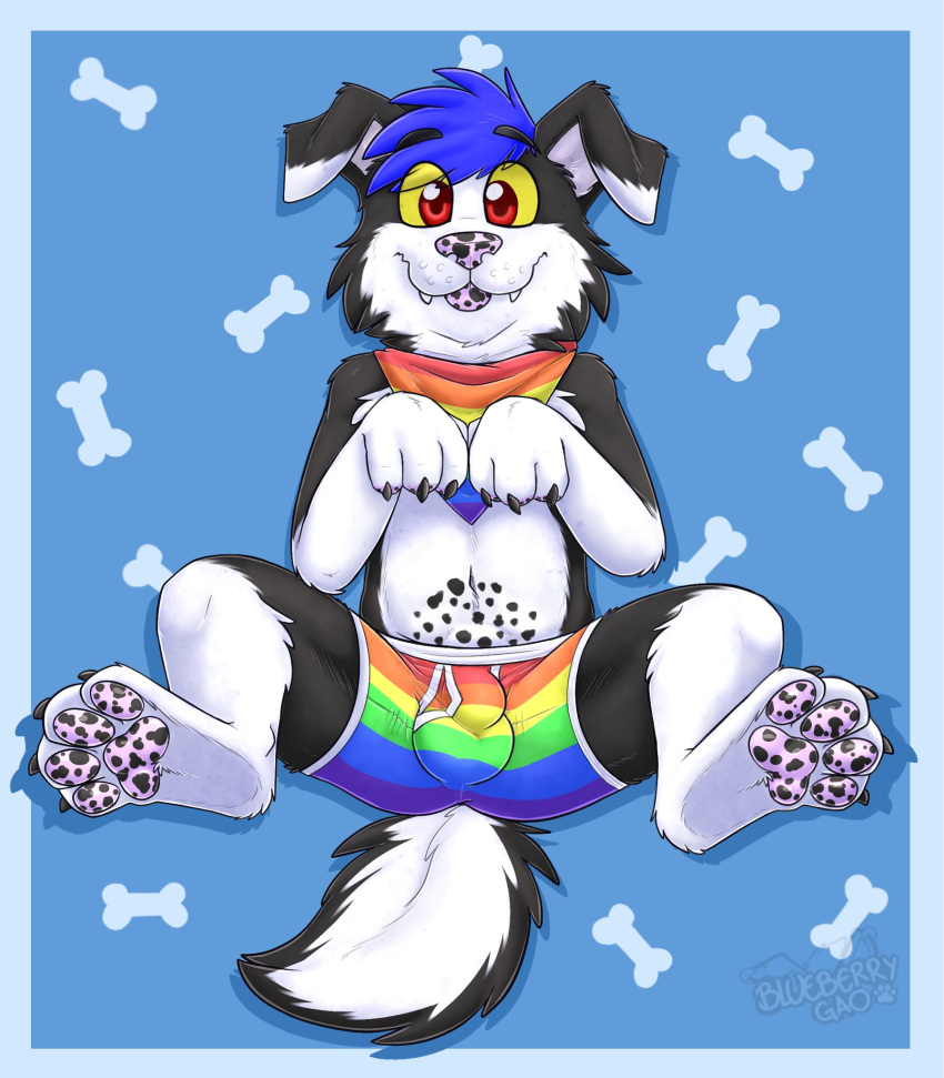 2021 anthro biped black_body black_ears black_fur blep blue_background blue_hair bone border bottomwear boxers_(clothing) canid canine canis cheek_tuft clothed clothing collie cute_fangs domestic_dog eyebrow_through_hair eyebrows facial_tuft feet floppy_ears foot_focus fur gaokun gay hair herding_dog hi_res inner_ear_fluff kerchief lgbt_pride male male_only mammal markings multicolored_body multicolored_clothing multicolored_ears multicolored_fur multicolored_kerchief multicolored_underwear partially_clothed pastoral_dog pawpads presenting_bulge pride_color_accessory pride_color_bandanna pride_color_bottomwear pride_color_clothing pride_color_kerchief pride_color_neckerchief pride_colors rainbow_clothing rainbow_flag rainbow_kerchief rainbow_pride_flag rainbow_symbol rainbow_underwear red_eyes sheepdog simple_background six-stripe_rainbow_pride_colors solo spots spotted_markings spotted_pawpads tongue tongue_out translucent translucent_hair tuft two_tone_body two_tone_ears two_tone_fur underwear white_body white_border white_ears white_fur white_inner_ear yellow_sclera