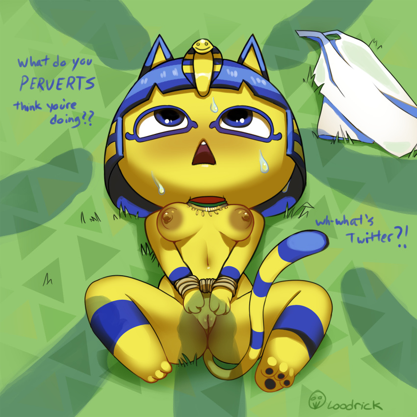 1:1 animal_crossing ankha ankha_(animal_crossing) anthro arms_tied bodily_fluids bound breasts disembodied_penis domestic_cat english_text felid feline felis female genitals group hi_res loodrick lying male mammal nintendo nude on_back paws penis penis_shadow pussy rope shadow spread_legs spreading sweat text video_games