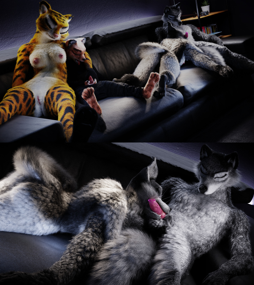 3d absurdres anthro ascaniololololol ass balls barefoot breasts canid canine canis claws closed_eyes domestic_dog erection feet felid female fingers fur furry genitals group highres lying male mammal mustela mustelid musteline nipples nude open_mouth pantherine paws penis pussy sex sleep_sex sleeping stoat straight testicles tiger toes tongue true_musteline unconscious wolf