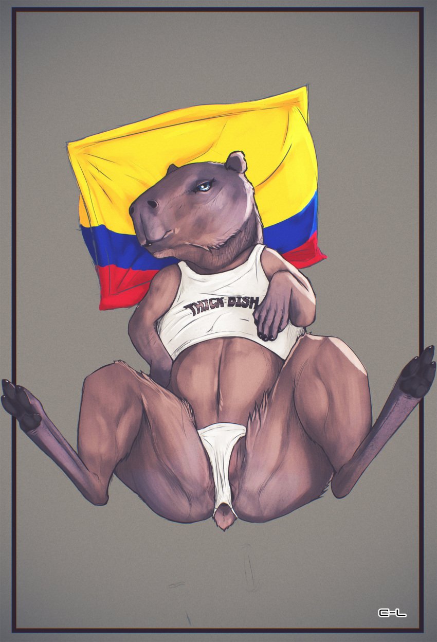 anus barely_visible_anus blue_eyes brown_body brown_fur capybara caviid clothed clothed_feral clothing colombian_flag cosmiclife female feral fur grey_background hi_res high-angle_view looking_at_viewer lying mammal on_back partially_clothed presenting rodent shirt simple_background solo spread_legs spreading tank_top topwear underwear