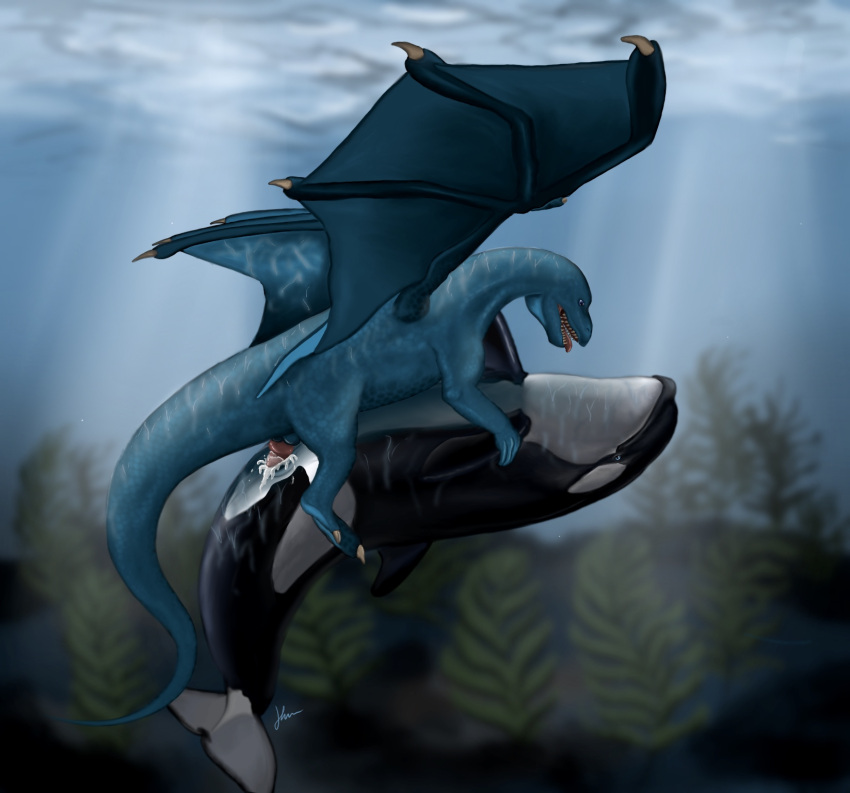 anatomically_correct anatomically_correct_genitalia anatomically_correct_pussy balls blue_body blue_eyes bodily_fluids cetacean cetacean_pussy claws cum cum_inside delphinoid dragon duo female feral fin flukes genital_fluids genitals hi_res kayla_(kayla_orca) kayla_orca knot legless male male/female mammal marine oceanic_dolphin orca penis pussy sea sex teeth tinath_(vulumar) tongue tongue_out toothed_whale underwater underwater_sex underwater_view water wings