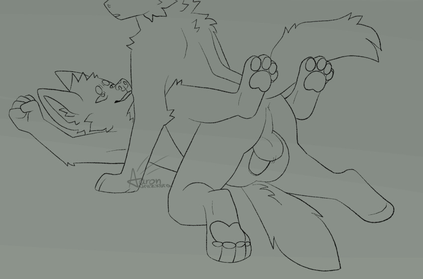 2021 2d ambiguous_gender ambiguous_penetrated anal anal_sex animated anthro ass balls bouncing_balls canid canine digital_drawing_(artwork) digital_media_(artwork) duo from_front_position fur genitals gif hi_res hindpaw legs_up lined looking_at_another looking_pleasured lying male male/ambiguous male_penetrating male_penetrating_ambiguous mammal missionary_position monochrome on_back open_mouth pawpads paws penetration penile penile_penetration penis penis_in_ass perineum rear_view sex short_playtime simple_background smile tail_motion tailwag unizxbra