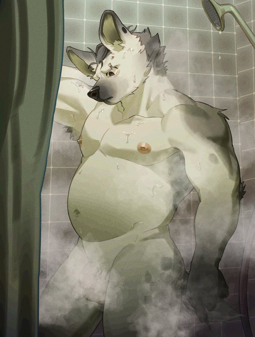 anthro areola arknights balls belly ear_piercing eyebrow_piercing facial_piercing flaccid fur genitals grey_body grey_fur hi_res humanoid_genitalia humanoid_penis hyena hypergryph looking_down male mammal nipples nude penis piercing pu94_d1de4c shower slightly_chubby solo spot_(arknights) spotted_hyena studio_montagne wet wet_body wet_fur