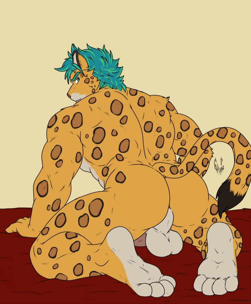 anthro ass balls cougar domestic_cat felid feline felis feral genitals hi_res hunterramirez jaguar kneeling male male/male mammal pantherine penis rear_view solo spots tail
