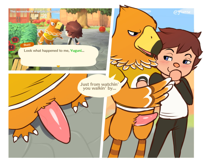 accipitrid accipitriform animal_crossing anthro avian bird blush bottomless buzz_(animal_crossing) clothed clothing dialogue duo english_text erection gay genitals header header_box human human_on_anthro imminent_sex interspecies male male/male mammal nintendo open_mouth outside penis smile sudden tapering_penis text text_header video_games young yuguni yuguni_(character)