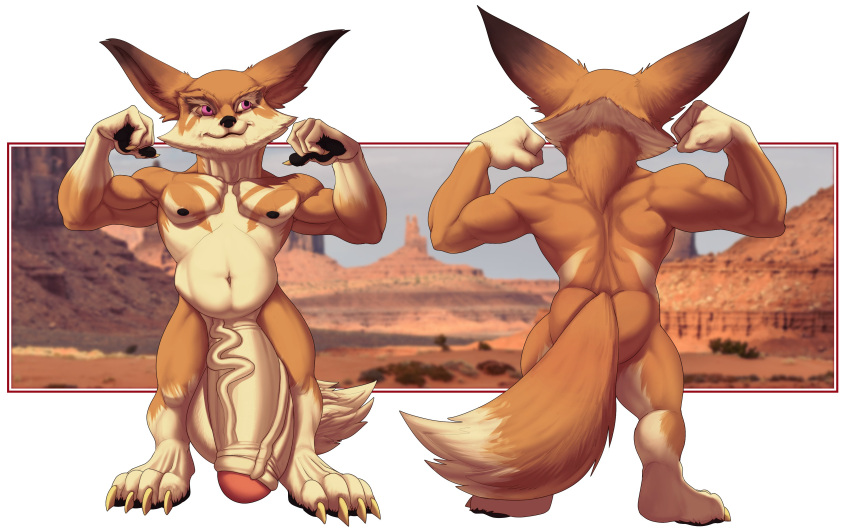 Socks (Marking) Rule 34 Image