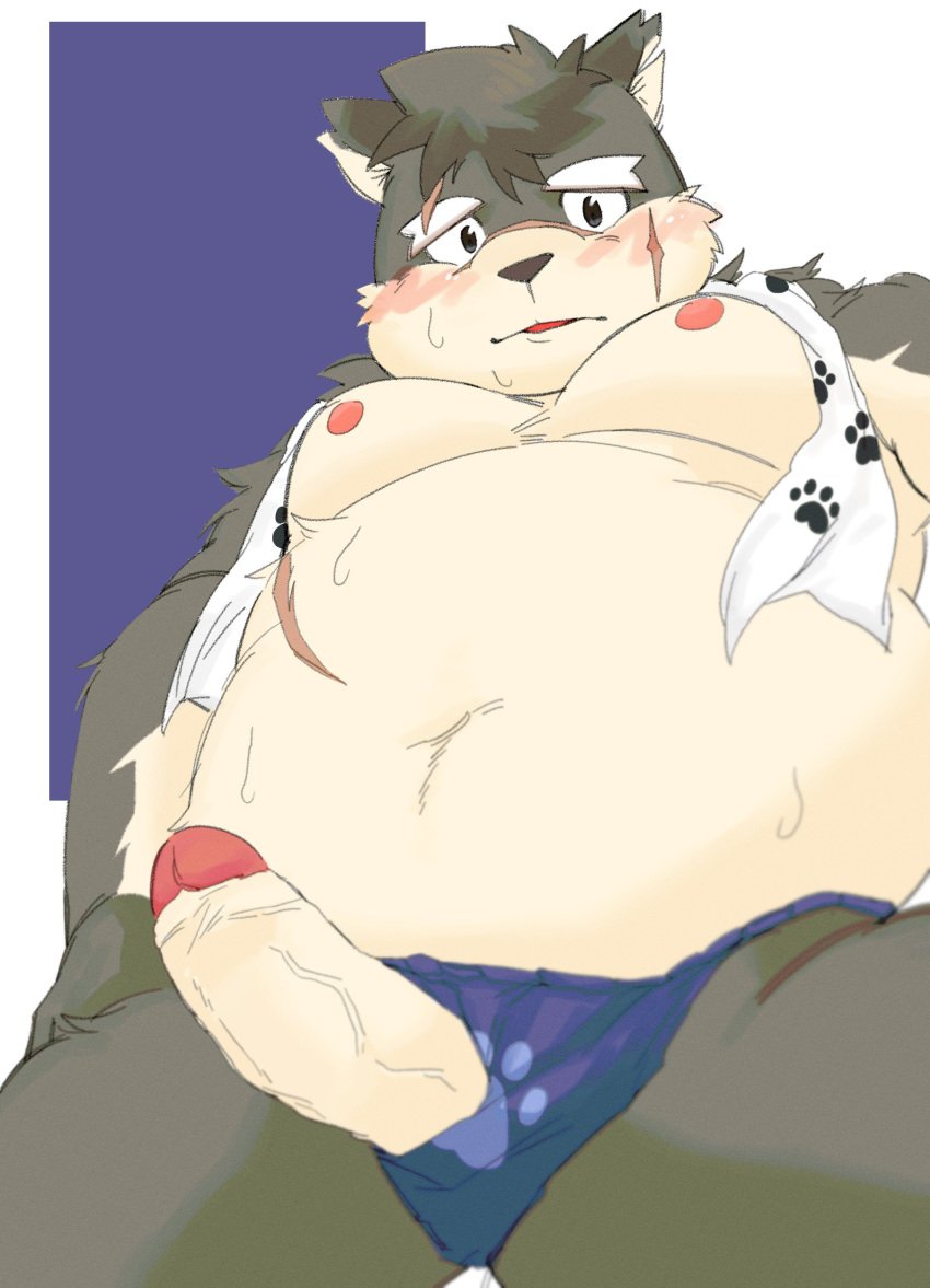 absurd_res anthro asian_clothing belly blush canid canine canis clothing clothing_aside domestic_dog east_asian_clothing erection fundoshi fundoshi_aside genitals hi_res japanese_clothing lifewonders male mammal moobs moritaka navel nipples overweight penis saheul_s solo tokyo_afterschool_summoners towel underwear underwear_aside video_games