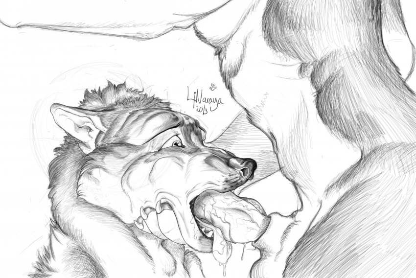 2013 animal_genitalia anthro balls canine canine_penis cum cum_in_mouth cum_inside duo erection fellatio fur furry furry_only gay greyscale husky knot linaraya male mammal monochrome nude open_mouth oral oral_sex penis plain_background precum sex sketch tongue white_background wolf