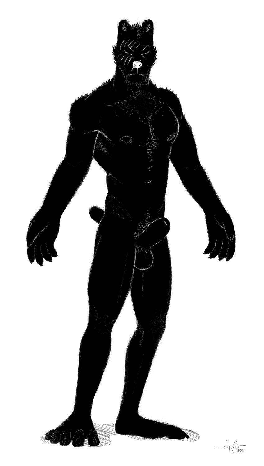 2024 absurd_res animal_genitalia balls black_and_white black_body body_hair chest_hair facial_scar fuzzy genitals hi_res male monochrome narrowed_eyes nipples outstretched_arms penis scar sharkinthepark sheath solo squint tail tail_nub