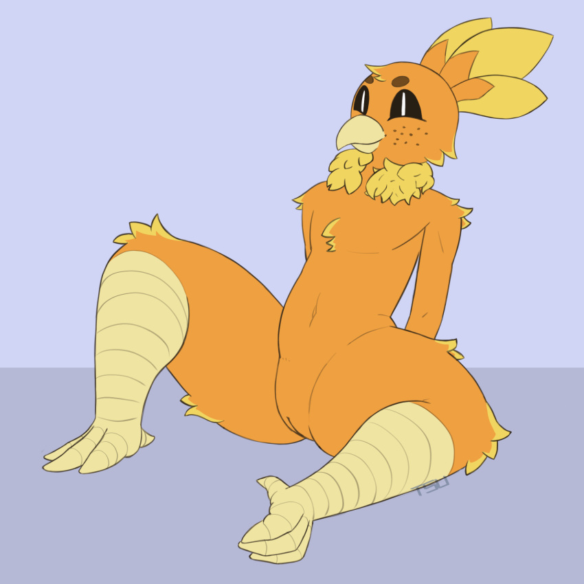 1:1 andromorph anthro avian biped bird black_sclera chest_tuft cuntboy genitals hi_res intersex neck_tuft nintendo orange_body pokémon_(species) pokemon pussy simple_background solo torchic torchy tsukemono tuft video_games white_pupils