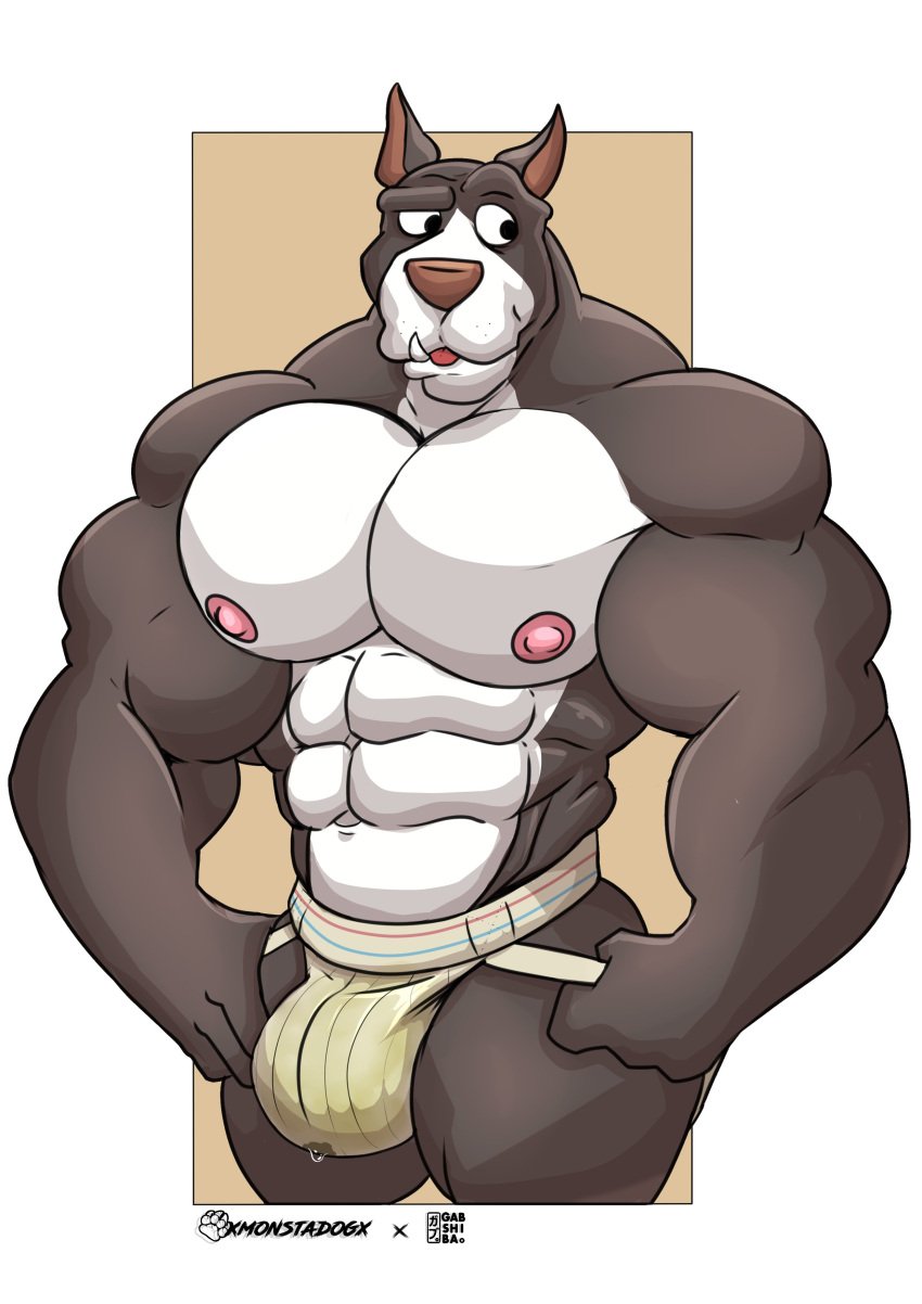 abs absurd_res anthro big_biceps big_bulge big_muscles big_pecs bodily_fluids brown_body brown_fur bulge canid canine canis clothed clothing deltoids domestic_dog fangs fur gab_(comic) genital_fluids hi_res huge_muscles jockstrap_only male mammal monstadog multicolored_body multicolored_fur muscular muscular_anthro muscular_male navel nipples pecs pink_nipples pink_nose pit_bull precum precum_through_clothing precum_through_jockstrap precum_through_underwear ruff_bull simple_background solo thick_thighs two_tone_body two_tone_fur underwear underwear_only wet wet_clothing white_body white_fur