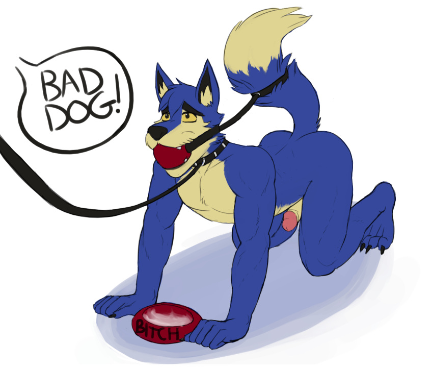 all_fours anthro athletic athletic_anthro athletic_male ball_gag blue_body blue_fur bodily_fluids claws collar cum dialogue english_text fangs fur gag gagged genital_fluids genitals glans hicanyoumooforme humanoid_genitalia humanoid_penis jeran jumpstart_games leash lupe_(neopets) male neopet_(species) neopets nude offscreen_character penis pet_bowl petplay profanity roleplay simple_background solo speech_bubble tail_tied tan_body tan_fur text toe_claws video_games