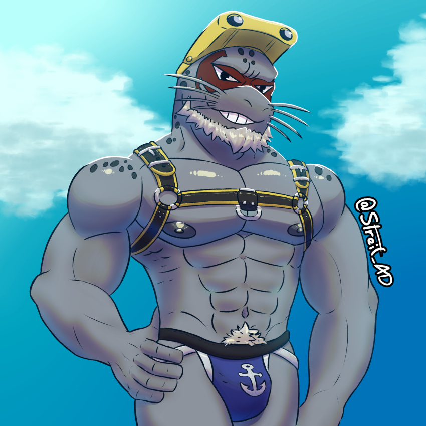 1:1 anthro clothing eyewear goggles harness hi_res jockstrap male male_focus male_only mammal marine muscular muscular_male my_hero_academia pinniped pinup pose seal selkie_(my_hero_academia) simple_background sky solo solo_focus spotted_seal streif tagme underwear