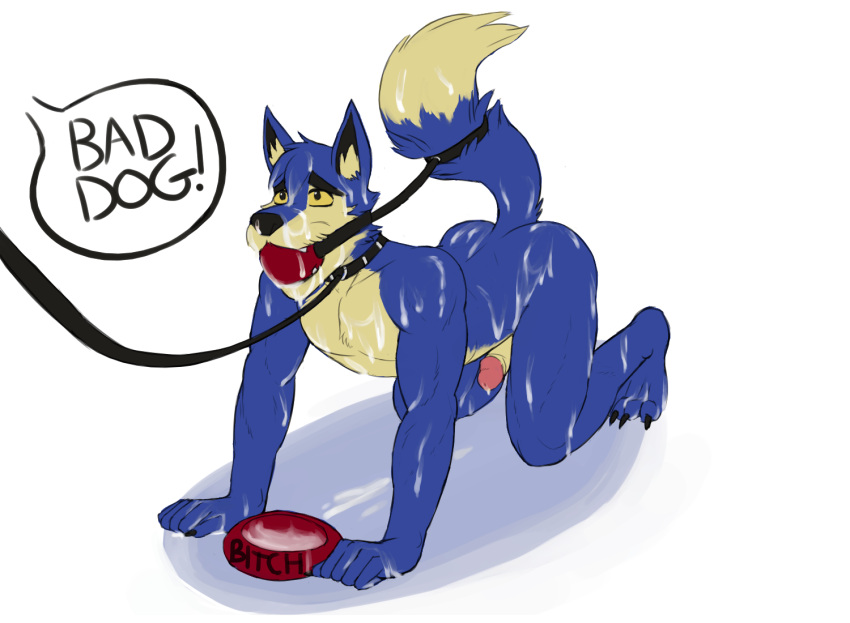 all_fours anthro ass athletic athletic_anthro athletic_male ball_gag blue_body blue_fur bodily_fluids claws collar cum cum_covered cum_drip cum_on_arm cum_on_body cum_on_butt cum_on_chest cum_on_face cum_on_feet cum_on_ground cum_on_hand cum_on_leg cum_on_penis cum_on_tail dialogue dripping english_text fangs fur gag gagged genital_fluids genitals glans hicanyoumooforme humanoid_genitalia humanoid_penis jeran jumpstart_games leash lupe_(neopets) male male_only messy neopet_(species) neopets nude offscreen_character penis pet_bowl petplay profanity roleplay simple_background solo solo_male speech_bubble tail_tied tan_body tan_fur text toe_claws video_games