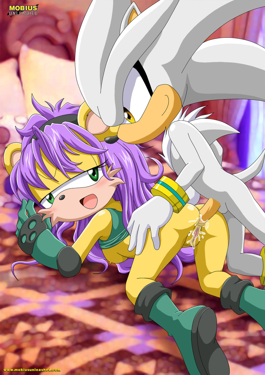 Mina Mongoose (Sonic (Series)) Rule 34 Image