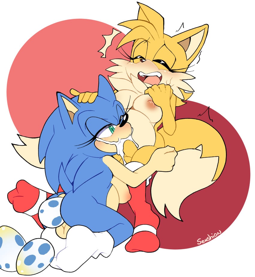 Sonic The Hedgehog (Sega) Rule 34 Image
