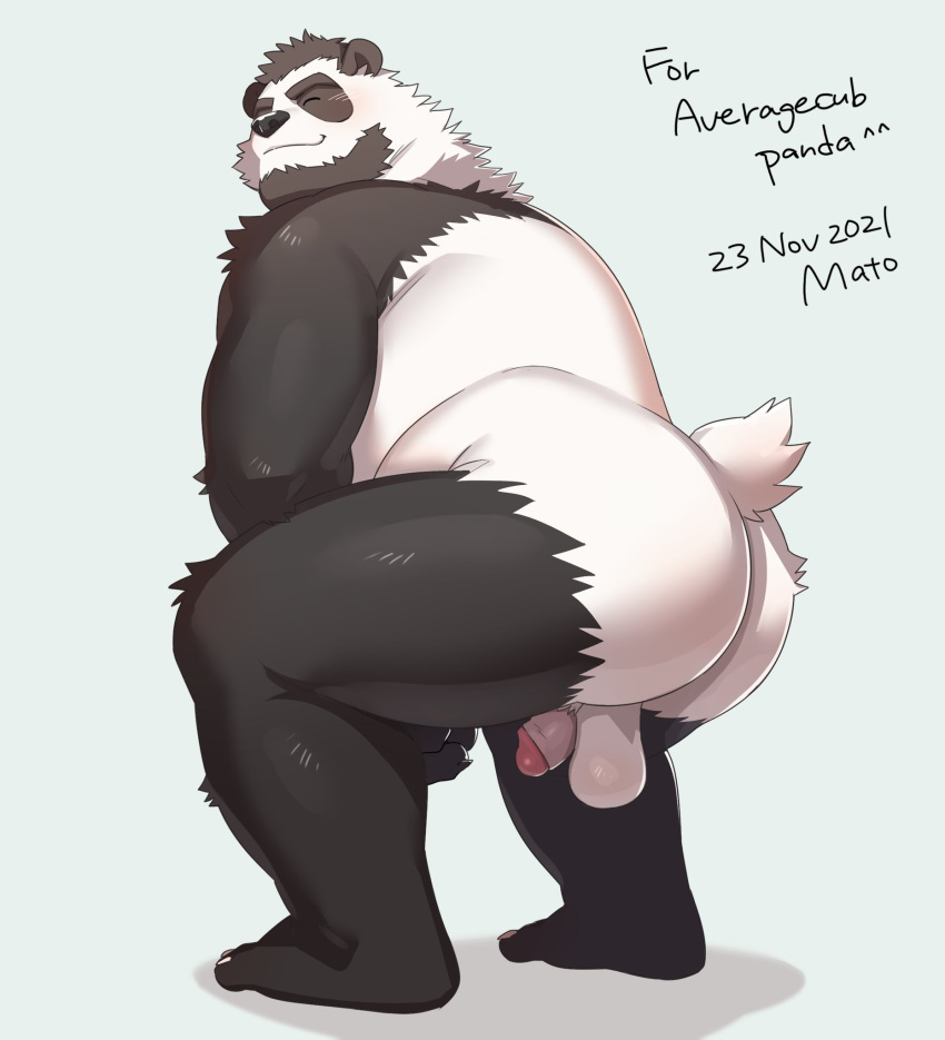 2021 anthro ass balls black_body black_fur black_nose blush closed_eyes english_text fur genitals giant_panda hi_res humanoid_genitalia humanoid_penis kemono male mammal matotoma overweight overweight_male penis simple_background solo text ursid white_body white_fur