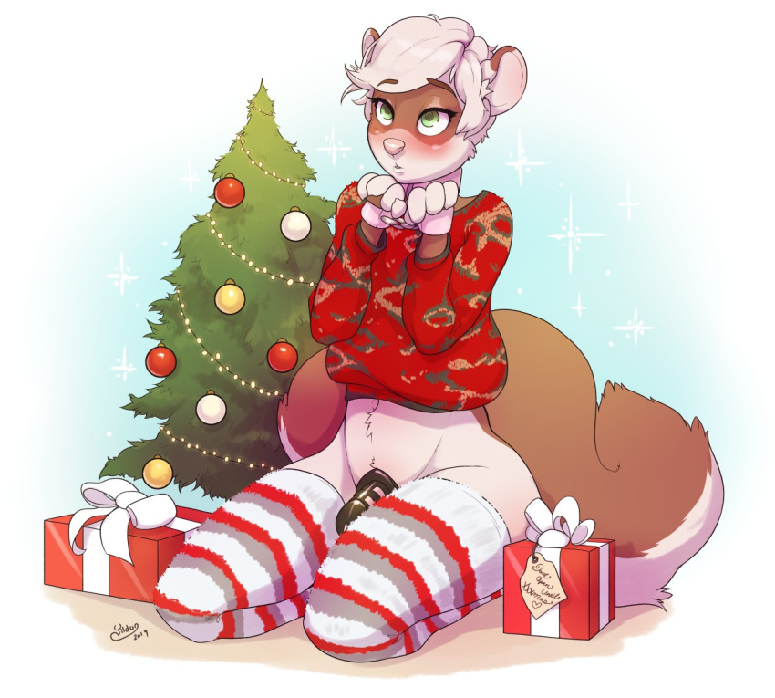 2019 anthro baubles begging begging_pose biped blush bow_ribbon brown_body brown_ears brown_fur brown_tail chains chastity_cage chastity_device christmas christmas_clothing christmas_lights christmas_sweater christmas_topwear christmas_tree clothing dated digital_drawing_(artwork) digital_media_(artwork) domestic_ferret english_text fur genitals gift gift_tag green_eyes grey_clothing grey_legwear grey_thigh_highs hair heart holidays kneeling legwear looking_at_viewer male mammal merlin(lllmaddy) midriff monotone_hair mostly_nude multicolored_body multicolored_ears multicolored_fur mustela mustelid musteline pattern_clothing pattern_legwear pattern_thigh_highs penis plant pose red_clothing red_legwear red_thigh_highs signature solo star striped_clothing striped_legwear striped_thigh_highs stripes submissive submissive_anthro submissive_male sweater text thigh_highs topwear tree true_musteline two_tone_body two_tone_ears two_tone_fur two_tone_tail white_clothing white_hair white_legwear white_thigh_highs yildunstar