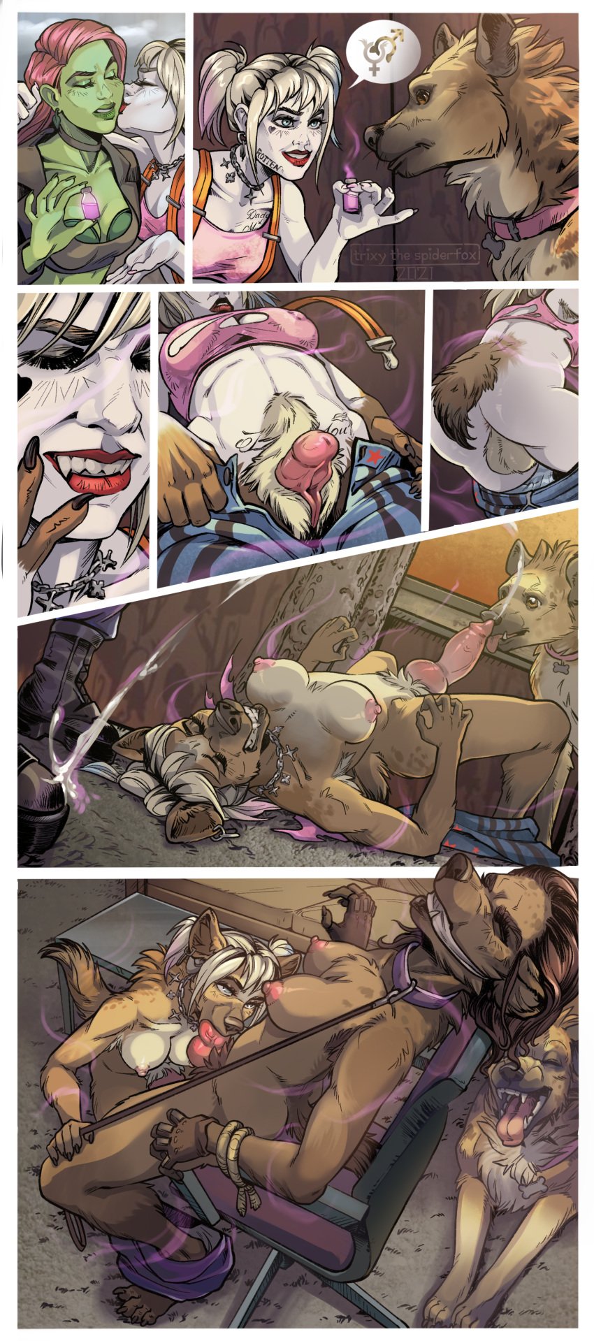 2d absurd_res animal_genitalia animal_penis anthro anthro_on_feral arms_tied batman_(series) blonde_hair bondage bound breasts canine_penis clothed clothing comic dc_comics detailed detailed_background duo ejaculation erection fellatio female feral fti_transformation fur futanari futanari_transformation gag gagged gender_transformation genital_growth genitals green-skinned_female green_body green_skin growth hair harley_quinn harley_quinn_(bvtmnt) hi_res human human_to_anthro hyaenid hyena intersex knot leash mammal oral pamela_isley penile penis penis_growth poison_ivy potion pussy red_hair sex species_transformation spotted_hyena tagme tied_to_chair torn_clothing transformation trixythespiderfox zoophilia