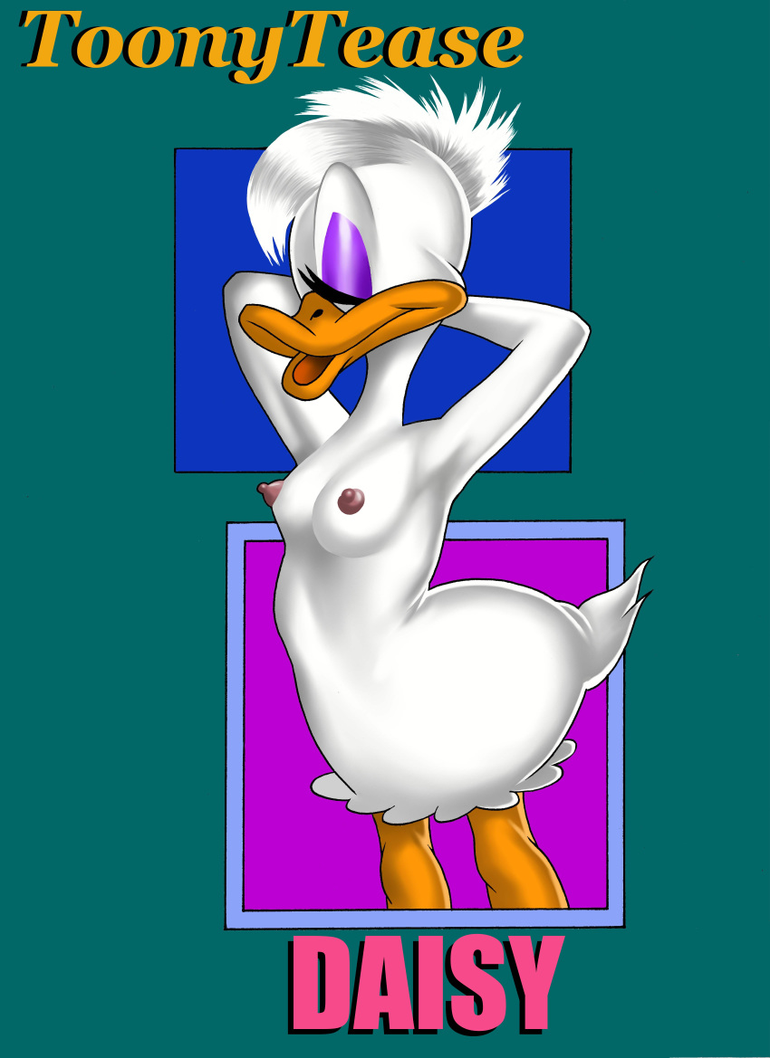 Daisy Duck (Disney) Rule 34 Image