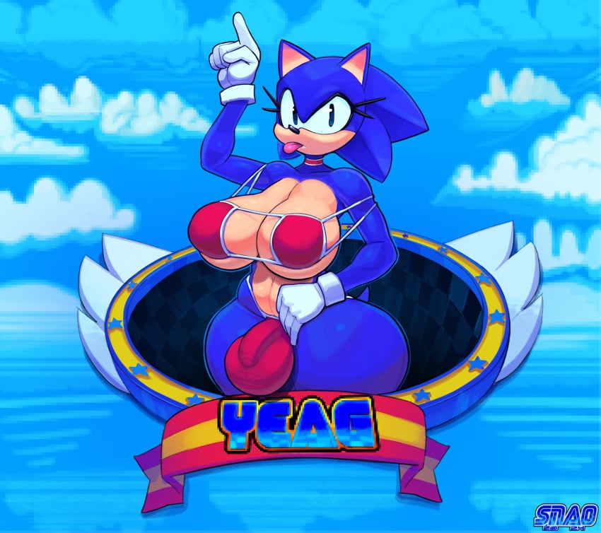 Sonic (Series) Rule 34 Image