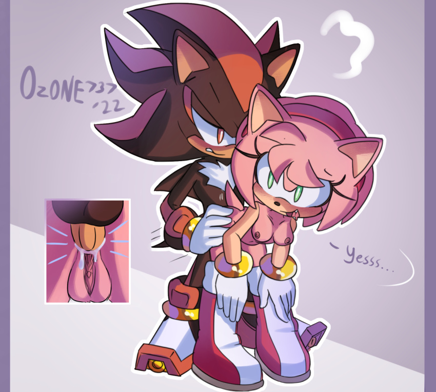 Amy Rose (Sega) Rule 34 Image