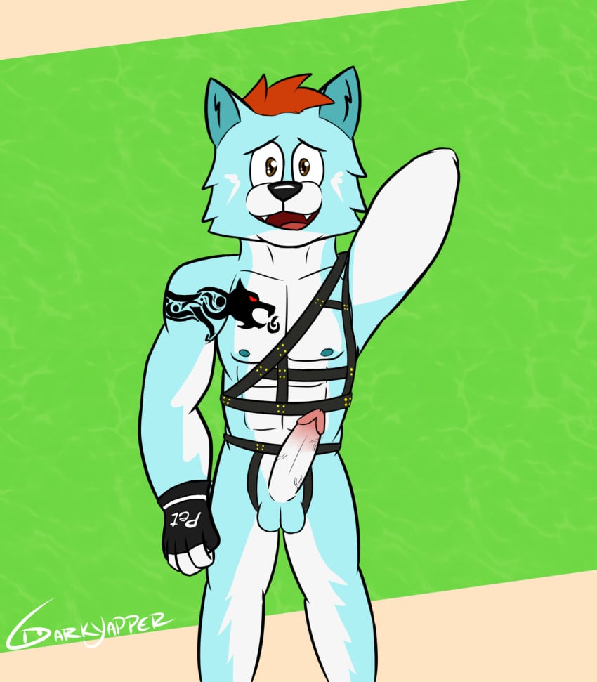 anthro arnes balls barazoku blue_body canid canine canis clothing darkyapper erection fingerless fingerless_gloves genitals gloves handwear hi_res looking_at_viewer male male/male mammal muscular nude open_mouth pecs penis pose solo tattoo testicles uncensored wolf