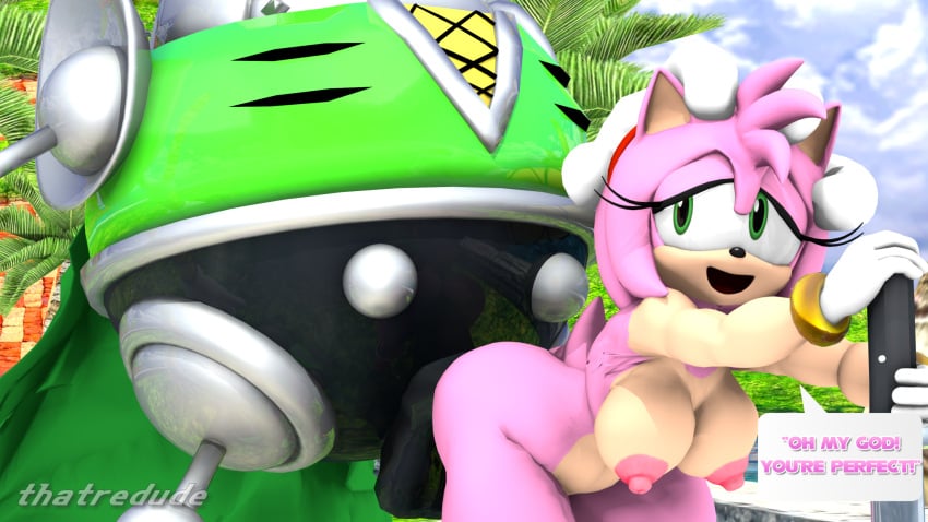 3d amy_rose anal anal_sex bent_over big_ass big_balls big_breasts big_penis consensual heavy_shinobi hedgehog holding_head holding_object humping looking_back pleasure_face privacy robot robot_on_mobian robot_penis sega sonic_(series) sonic_the_hedgehog_(series) text_bubble thatredude