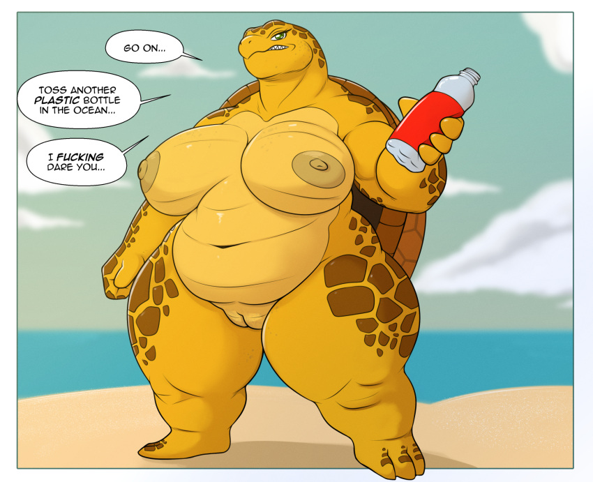 Shell Rule 34 Image