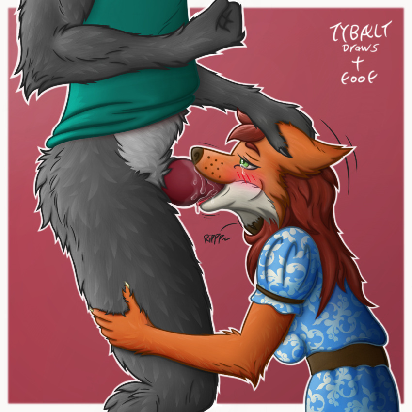 anthro blush bodily_fluids canid canine canis duo female fox genitals hi_res male male/female mammal oral penis simple_background tongue tybalt_draws wolf