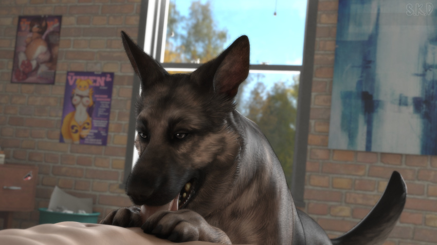 3d_(artwork) absurd_res ambiguous_gender bethesda_softworks bodily_fluids brown_eyes canid canine canis digital_media_(artwork) dogmeat domestic_dog duo fallout fellatio fellatio_from_feral feral genitals german_shepherd herding_dog hi_res human human_on_feral interspecies licking male male_on_feral mammal oral pastoral_dog penile penis s.k.d saliva saliva_on_tongue sex snow_kitsune tongue tongue_out uncensored video_games zoophilia