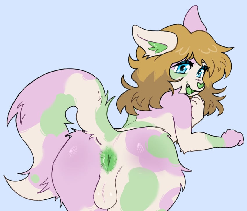 anthro anus ass balls bent_over biped blonde_hair blue_eyes calico_cat collin_(dafloofycaptain) cornymember domestic_cat felid feline felis femboy fluffy fluffy_tail fur genitals green_anus green_mouth green_nose hair hi_res inner_ear_fluff long_hair looking_at_viewer looking_back male mammal open_mouth pink_body pink_fur presenting presenting_hindquarters raised_tail solo tail tail_anus tuft