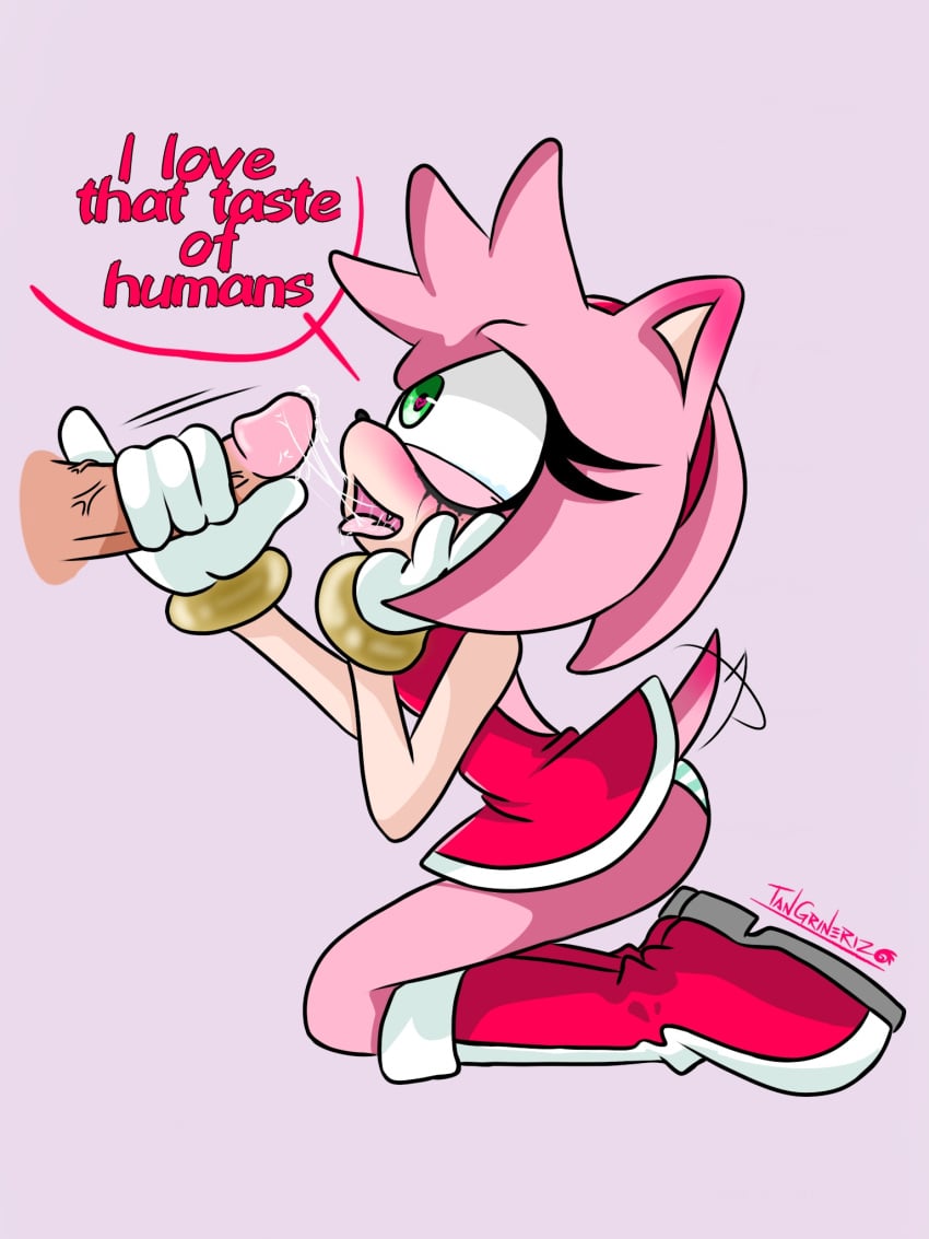 amy_rose big_penis blowjob blowjob_only drawn mobian_(species) saliva saliva_on_penis saliva_trail sonic_(series) tangrinerizo upskirt