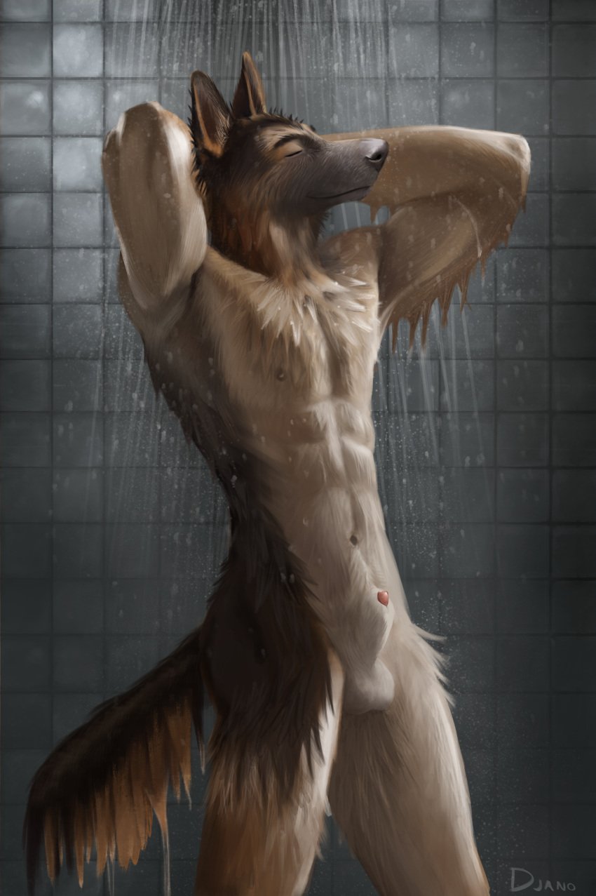 1boy absurd_res animal_genitalia anthro balls canid canine canis closed_eyes djano domestic_dog fur furry furry_only genitals german_shepherd herding_dog hi_res locker_room male male_only mammal nipples pastoral_dog penis penis_tip sheath shower showering smile solo solo_focus tile tile_wall wall_(structure) wet wet_body wet_fur