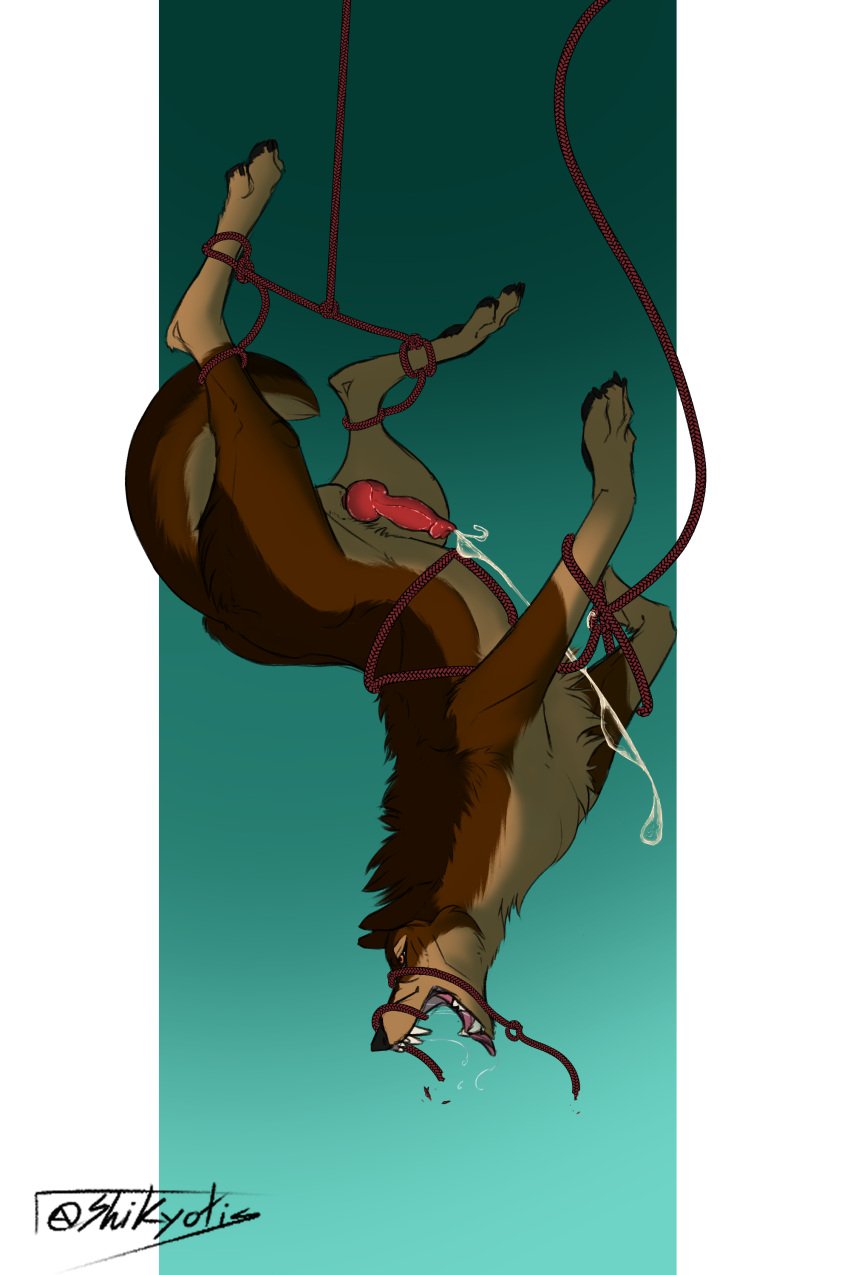 absurd_res anatomically_correct anatomically_correct_genitalia anatomically_correct_penis animal_genitalia animal_penis bodily_fluids bondage bound brown_body brown_fur canid canine canine_penis canis cum cumshot digital_media_(artwork) dripping ejaculation erection feral fur genital_fluids genitals hi_res karn_(karn_the_wolf) knot male mammal no_humans penis restraints rope rope_bondage rope_harness saliva saliva_drip salivating shikyotis simple_background solo suspended_in_midair tongue tongue_out wolf