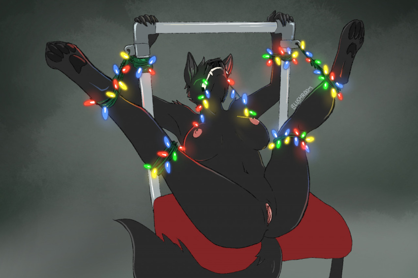 anthro anus blushroom bondage bondage bound breasts canid canine canis christmas christmas_lights feet female furniture genitals holidays lights mammal nipples paws presenting pussy solo solo_focus wolf