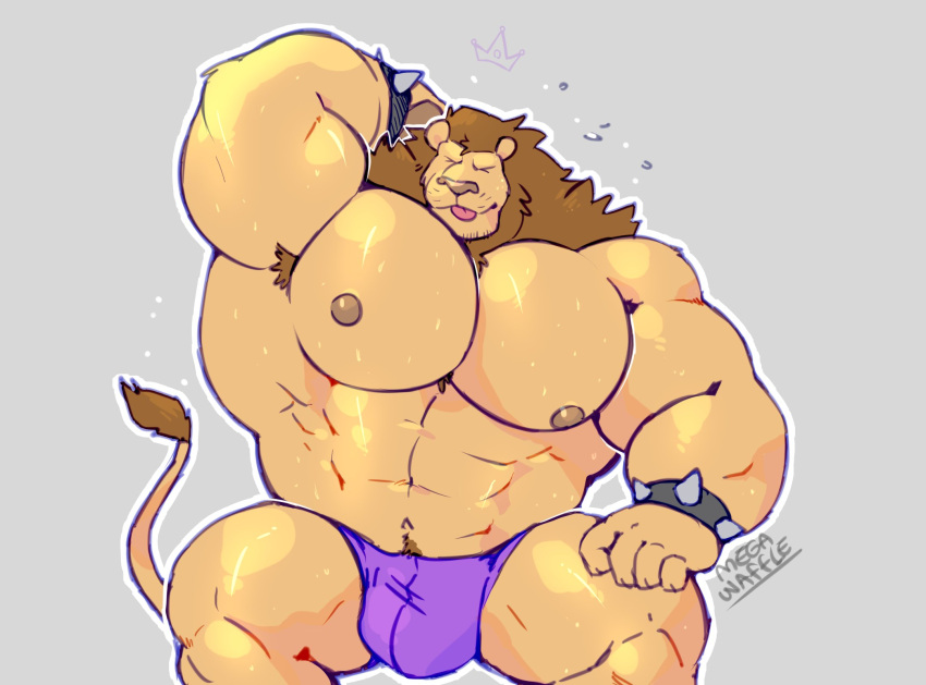 2021 abs anthro armpit_hair barazoku big_bulge big_muscles blep bodily_fluids body_hair bracelet bulge closed_eyes clothing duke_(megawaffle) felid fur grey_background hand_behind_head hi_res huge_muscles jewelry lion male mammal mane megawaffle_(artist) muscular muscular_anthro muscular_male navel nipples obliques pantherine pecs pubes signature simple_background sitting smile solo solo_male spiked_bracelet spikes sweat tongue tongue_out tuft underwear wet wet_body wet_fur