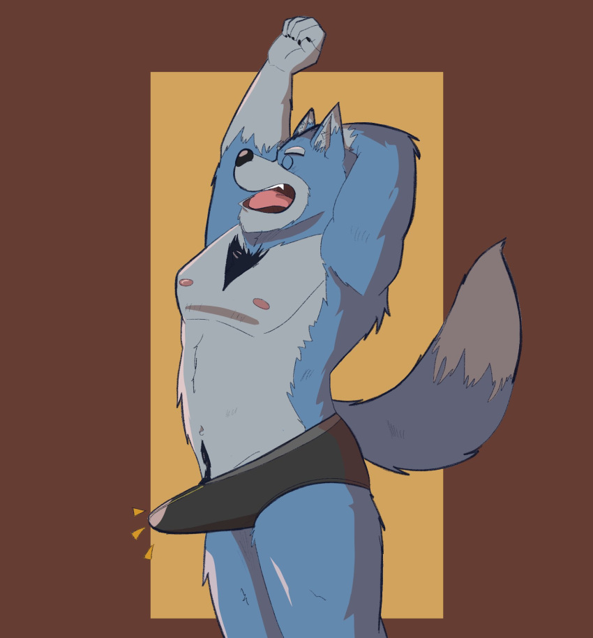 2021 anthro blue_body bulge canid canine canis closed_eyes clothing dippubear erection hi_res humanoid_hands male mammal morning_wood nipples simple_background solo stretching underwear wolf