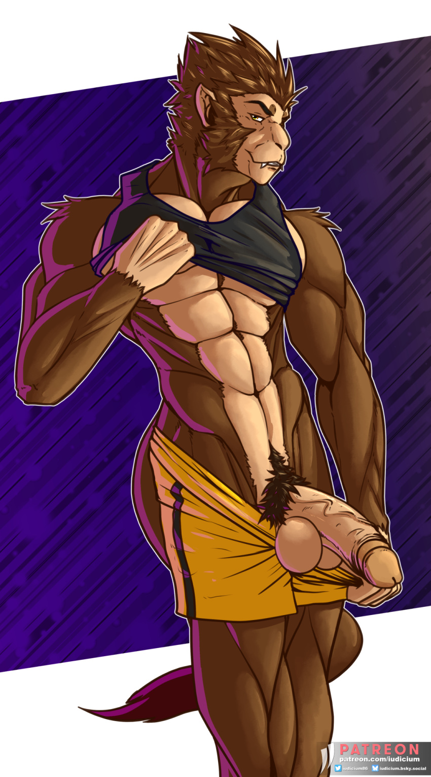 Houwang Rule 34 Image